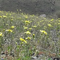 دوره آموزشی کوهپیمایی (مبتدی)|خدمات آموزشی|تهران, تجریش|دیوار