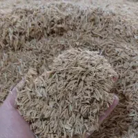 مکمل های خاک گلخانه