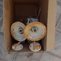 کلید و پریز