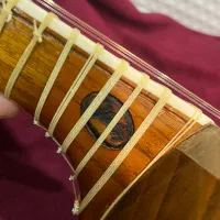 تار رضا خانی|سازهای سنتی|شیراز, فرهنگ شهر|دیوار