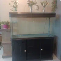 آکواریوم ماهی شیشه خم شرکتی ۱۲۰سانت.