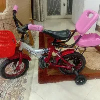 دوچرخه ۱۲ و دو عدد تنه
