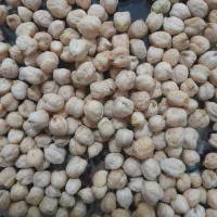 نخود زود پز دروشت|عمده‌فروشی|قیدار, |دیوار