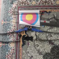 تیر و کمان حرفه ای