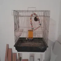 قفسه پرنده با لوازم