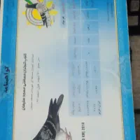 پلاکی شناستامه دار