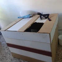 کلو مرغ یا کفتر تر تمیز کار دست خودمه