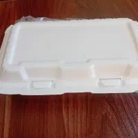 استخدام دستفروش غذا بصورت ثابت