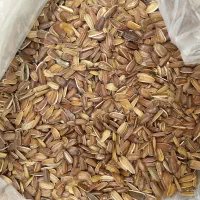 تخمه قرمز ریز کف دریا ارزن و کتان ایرانی برای طوطی