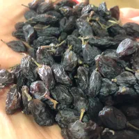 کشمش|خوردنی و آشامیدنی|زنجان, |دیوار