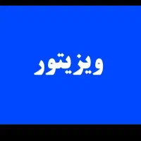 ویزیتور تخم مرغ