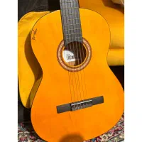 گیتار نو