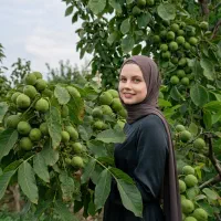 گردومقاوم به سرما و همه رقم نهال انگور بادوم گیلاس