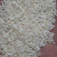 برنج خارجی دانه بلند با نیمدانه سونا ماسوری|عمده‌فروشی|شادگان, |دیوار