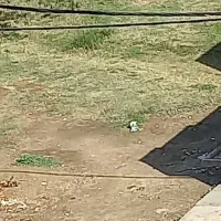 زمین-200متری-حمیدیه-فروش-فوری