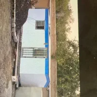 کانکس