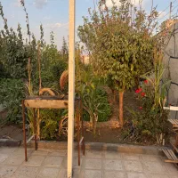 باغ ویلا اجاره ای|اجارهٔ کوتاه‌مدت ویلا و باغ|تایباد, |دیوار