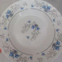 بشقاب گود آرکوپال