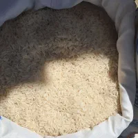 برنج هاشمی|خوردنی و آشامیدنی|زنجان, |دیوار