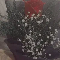 گل بفروش میرسد