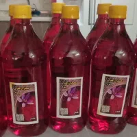 دستمال کاغذی|مواد شوینده و دستمال کاغذی|کوهدشت, |دیوار