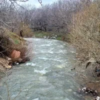 اجاره-پرورش-ماهی-در-الشتر