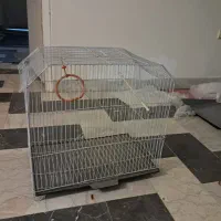 قفسه پرنده