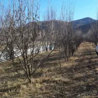 زمین فروشی در فیروزکوه روستای سرانزا