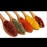 فروشنده ( خانم و آقا  )