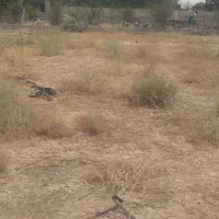 فروش زمین مناسب