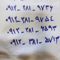 0912.281.9754