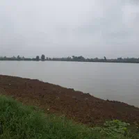 ۳۰ هکتار استخر ماهی کنار جاده ماسوله فروش متری ۷۵۰|فروش دفتر صنعتی، کشاورزی، تجاری|دماوند, دماوند|دیوار