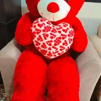 خرس قرمز
