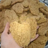 ترخینه دوغ