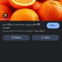 میخام باغ پرتغال اجاره کنم راهنمایی کنید