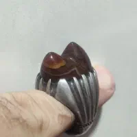 انگشتر باباقوری دوکوهانه