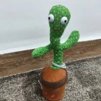 کاکتوس سخنگو پخش آهنگ