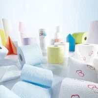 سرمایه گذاری در خطوط تولید محصولات سلولزی