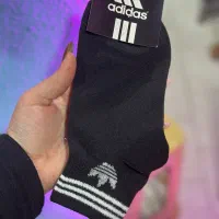 جوراب|لباس|بندر انزلی, پردیس|دیوار