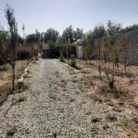 باغچه در خیابان اول کاشانک اسلامشهر|فروش زمین و ملک کلنگی|اسلامشهر, کاشانک|دیوار