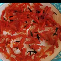 ماهی قرمز گلدفیش|ماهی|سنگر, |دیوار