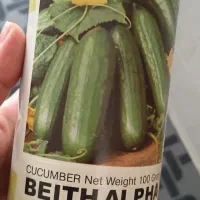 بذر خیار ۱۰۰ گرمی