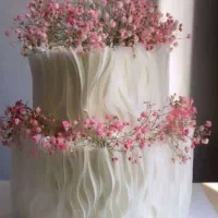 کیک و شیرینی|خدمات پذیرایی، مراسم|شاهینشهر, نظامی|دیوار