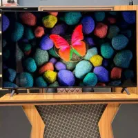 تلویزیون ال جی LG( پرداخت درب منزل)