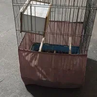 قفس پرنده سایز بزرگ|لوازم جانبی حیوانات|فردیس, شهرک ۱۱۰|دیوار