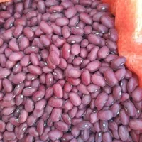 لوبیا قرمز یاقوتی بوجاری شده درجه یک
