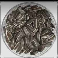 تخمه آفتابگردان شهرستان خوی عمده