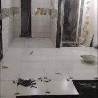 گچ کاری کاشی کاری|خدمات پیشه و مهارت|کرمانشاه, |دیوار