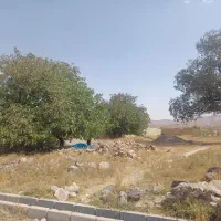 زمین مسکونی استان قزوین روستای بکندی|فروش زمین و ملک کلنگی|کوهین, |دیوار