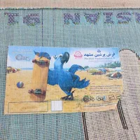 فرش کودک|فرش|گنبد کاووس, |دیوار